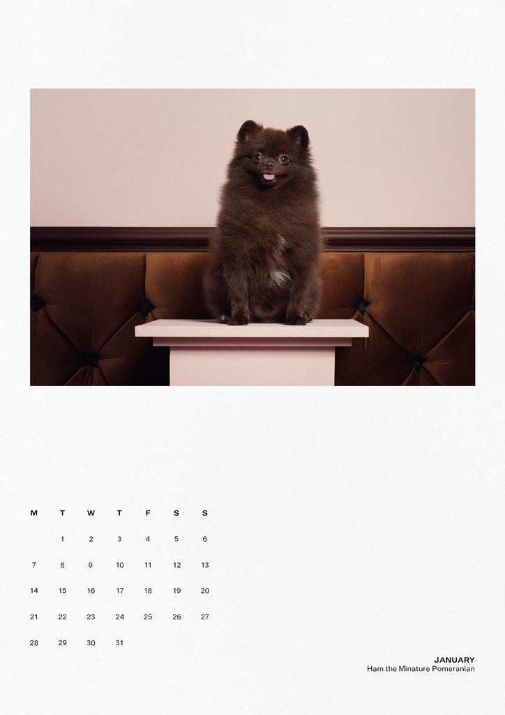 Dog Eat Dog 2019 Calendar