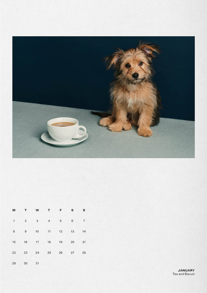 Dog Eat Dog 2018 Calendar