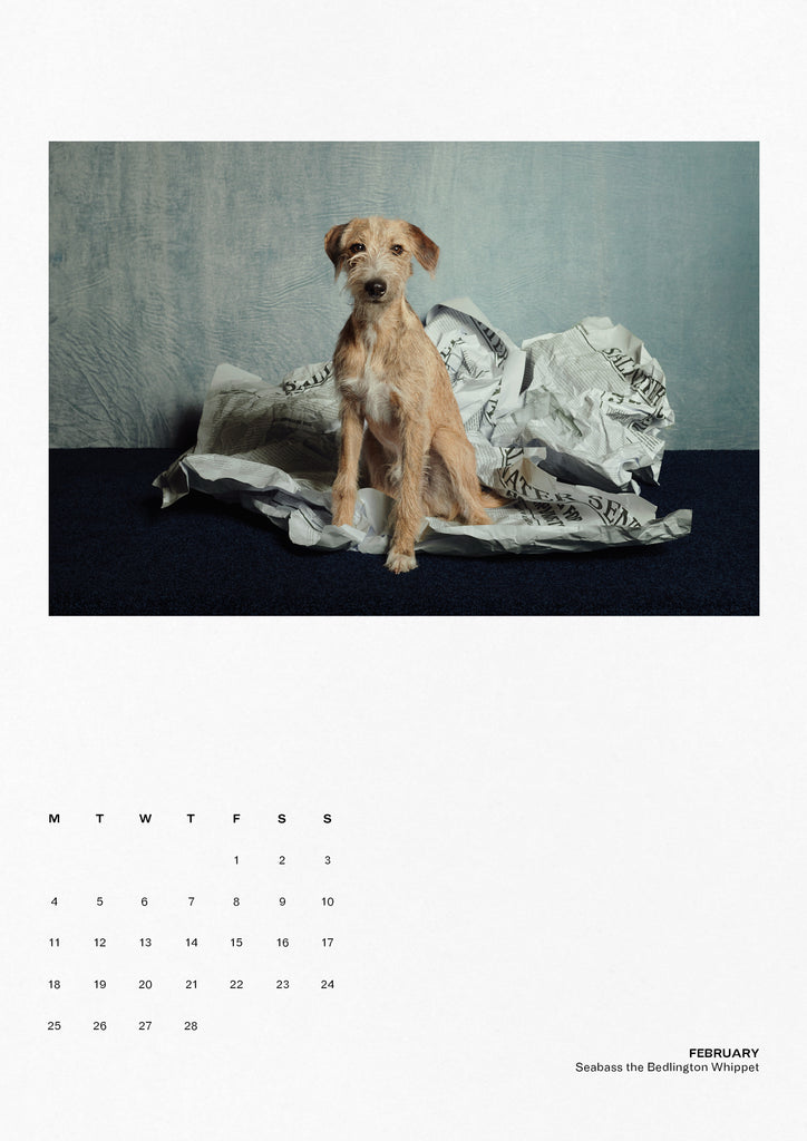 Dog Eat Dog 2019 Calendar
